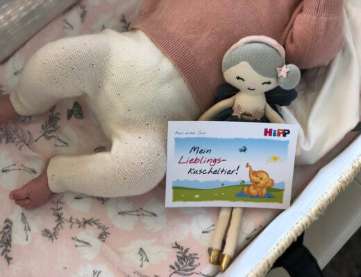 Hipp Babyclub, Hipp, Babyclub, Schwangerschaft, Kleinkind